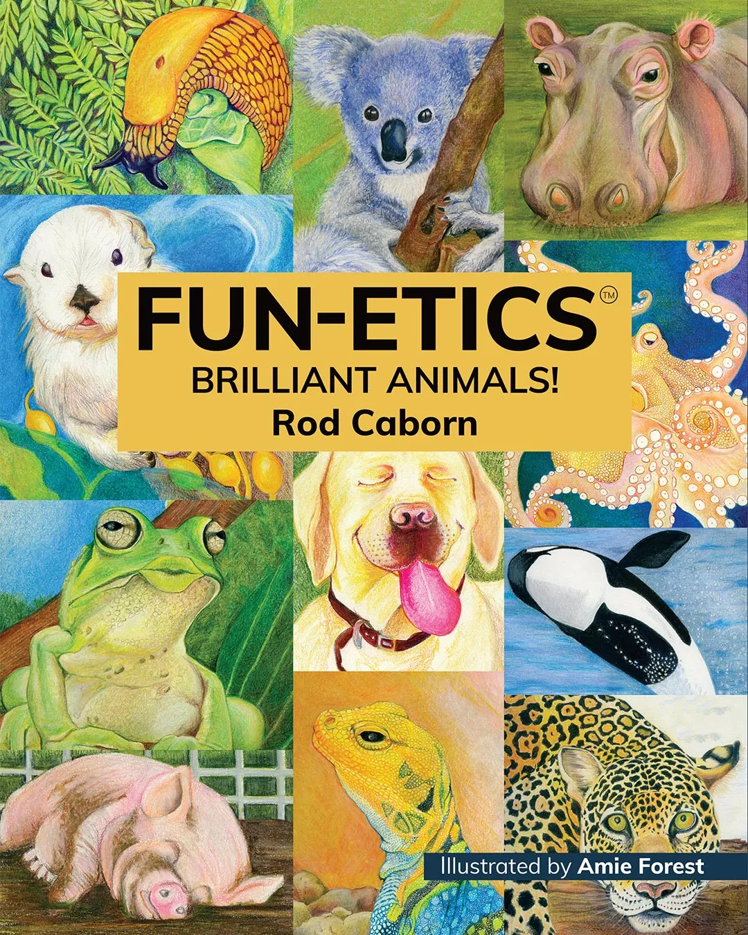FUN-ETICs Brilliant Animals book cover